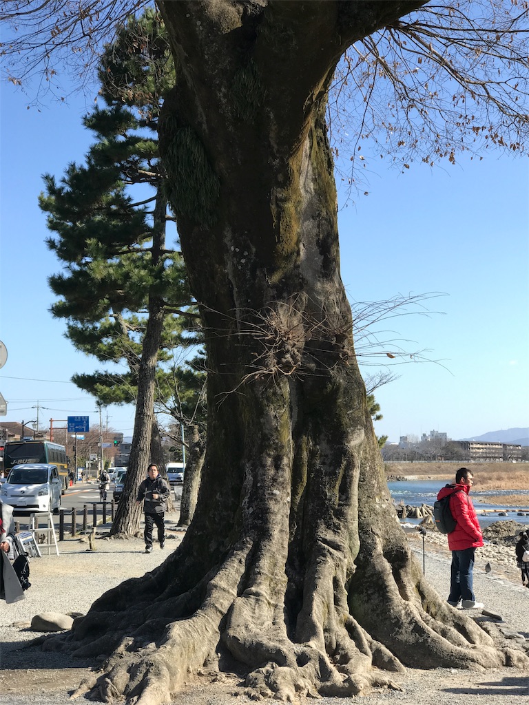 f:id:watanabecook:20170128230558j:image