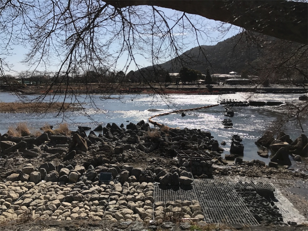 f:id:watanabecook:20170128230602j:image