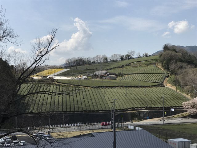 f:id:watanabecook:20170416160633j:plain f:id:watanabecook:20170416160633j:plain