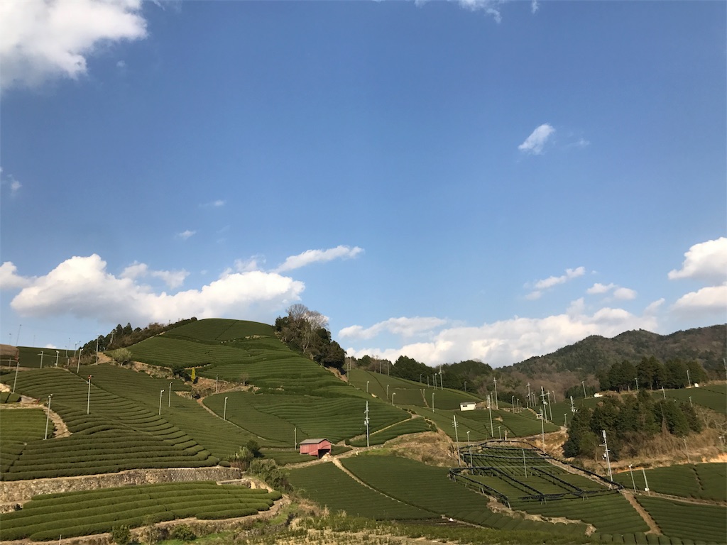 f:id:watanabecook:20170416221614j:image