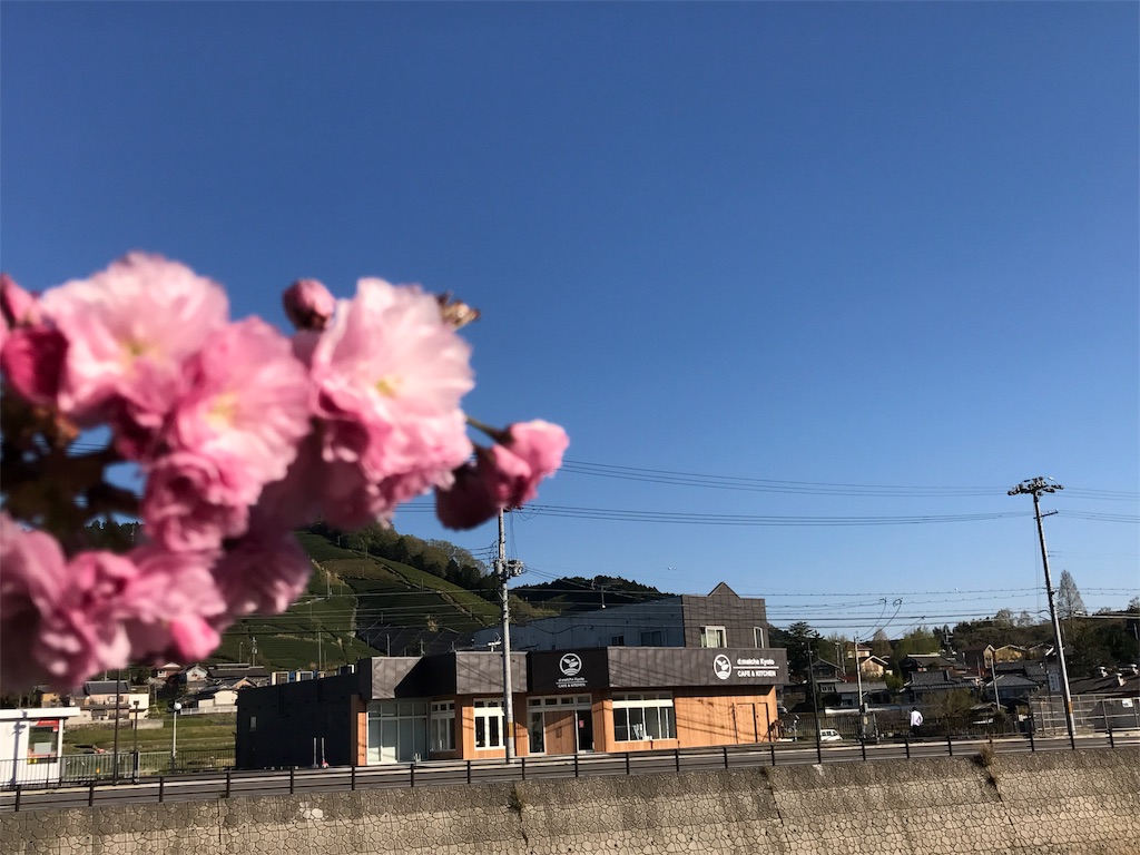f:id:watanabecook:20170423212908j:image f:id:watanabecook:20170423212908j:image