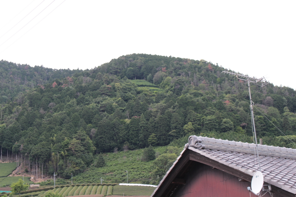 f:id:watanabecook:20170617012658j:plain f:id:watanabecook:20170617012658j:plain
