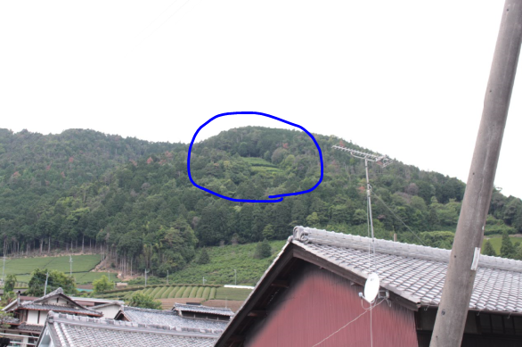 f:id:watanabecook:20170617013635p:plain f:id:watanabecook:20170617013635p:plain