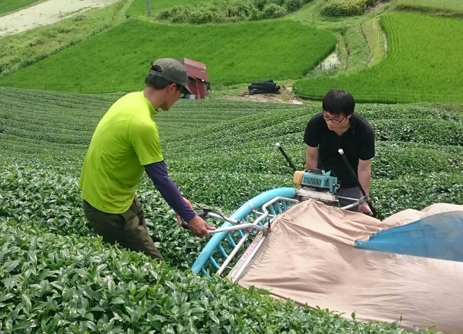 f:id:watanabecook:20170718010658p:plain f:id:watanabecook:20170718010658p:plain