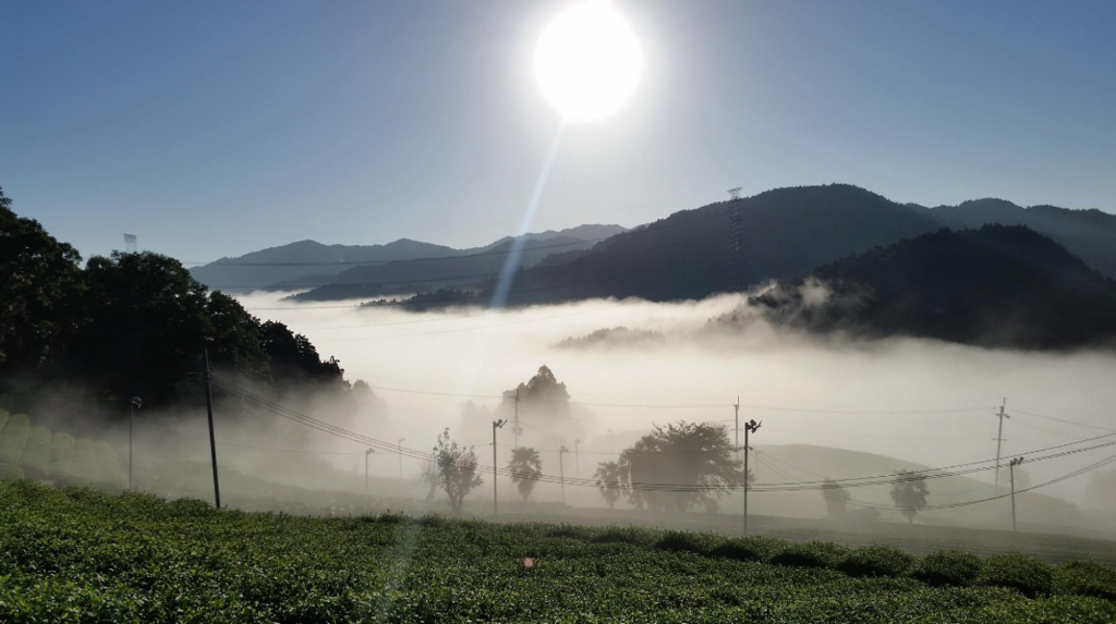 f:id:watanabecook:20171009004103p:plain f:id:watanabecook:20171009004103p:plain