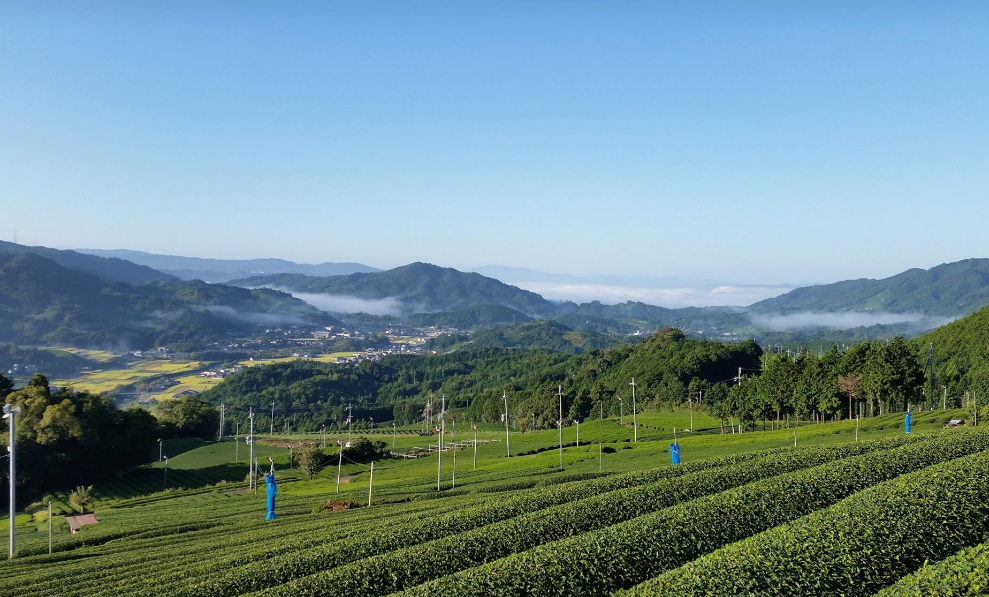 f:id:watanabecook:20171009004444p:plain f:id:watanabecook:20171009004444p:plain