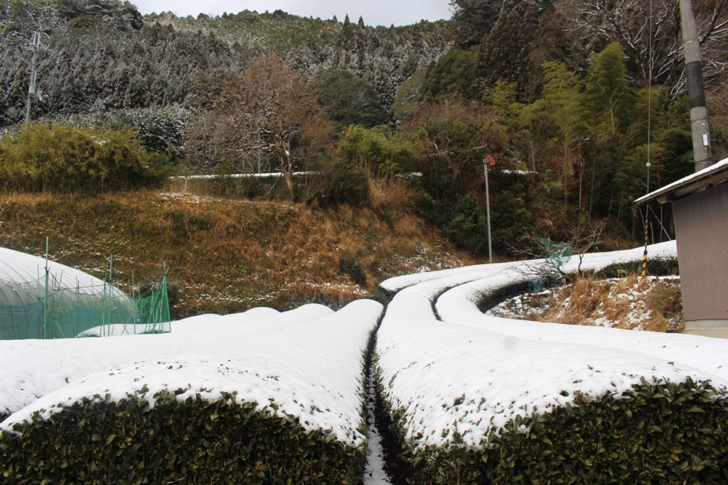 f:id:watanabecook:20171227161213j:plain f:id:watanabecook:20171227161213j:plain