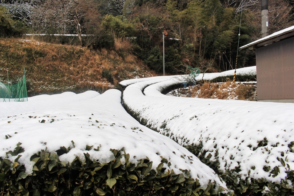 f:id:watanabecook:20171227161220j:plain f:id:watanabecook:20171227161220j:plain