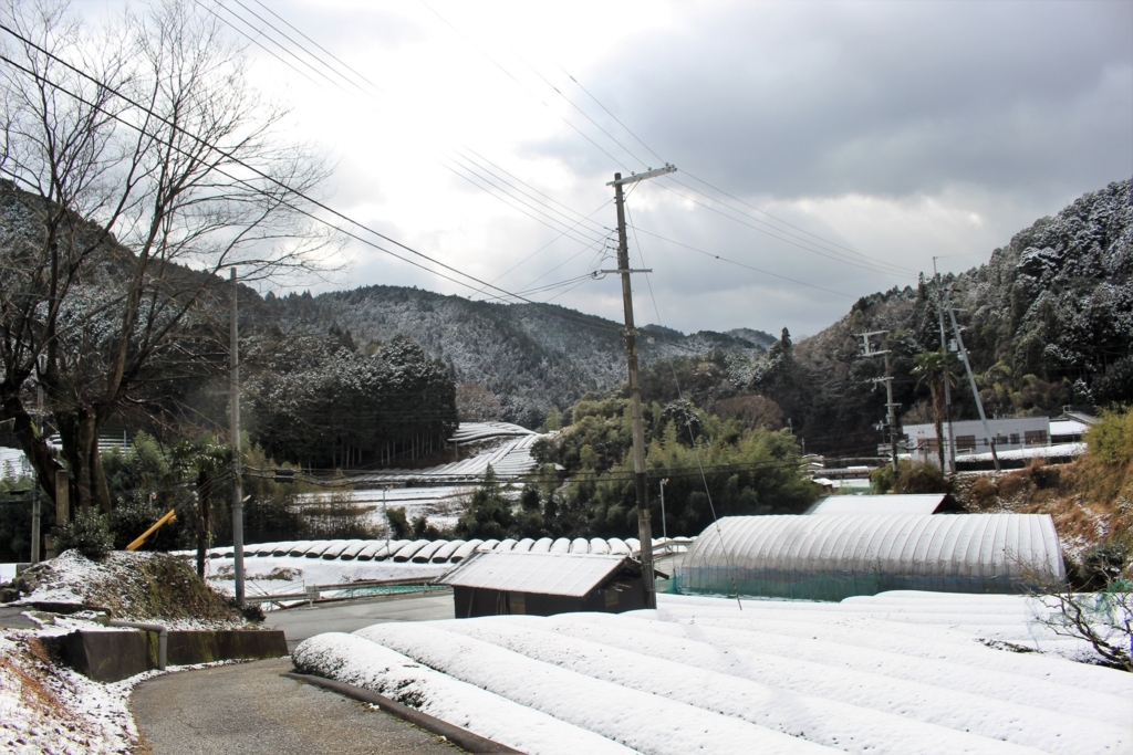 f:id:watanabecook:20171227161301j:plain f:id:watanabecook:20171227161301j:plain