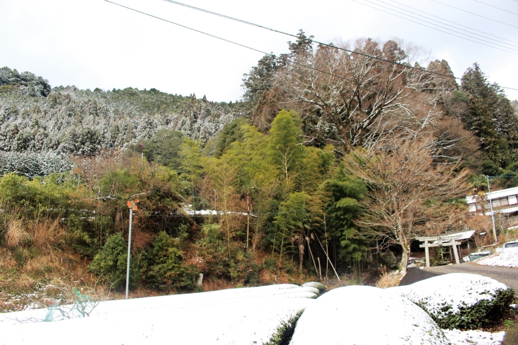 f:id:watanabecook:20171227161302j:plain f:id:watanabecook:20171227161302j:plain