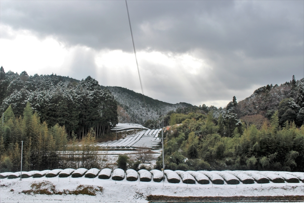 f:id:watanabecook:20171227161328j:plain f:id:watanabecook:20171227161328j:plain