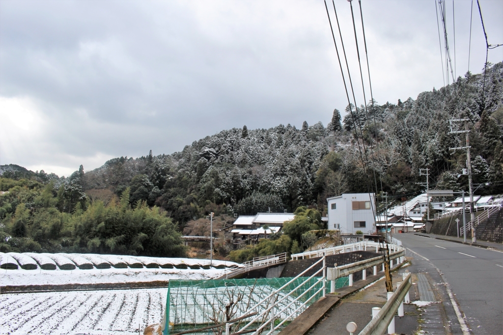 f:id:watanabecook:20171227161331j:plain f:id:watanabecook:20171227161331j:plain