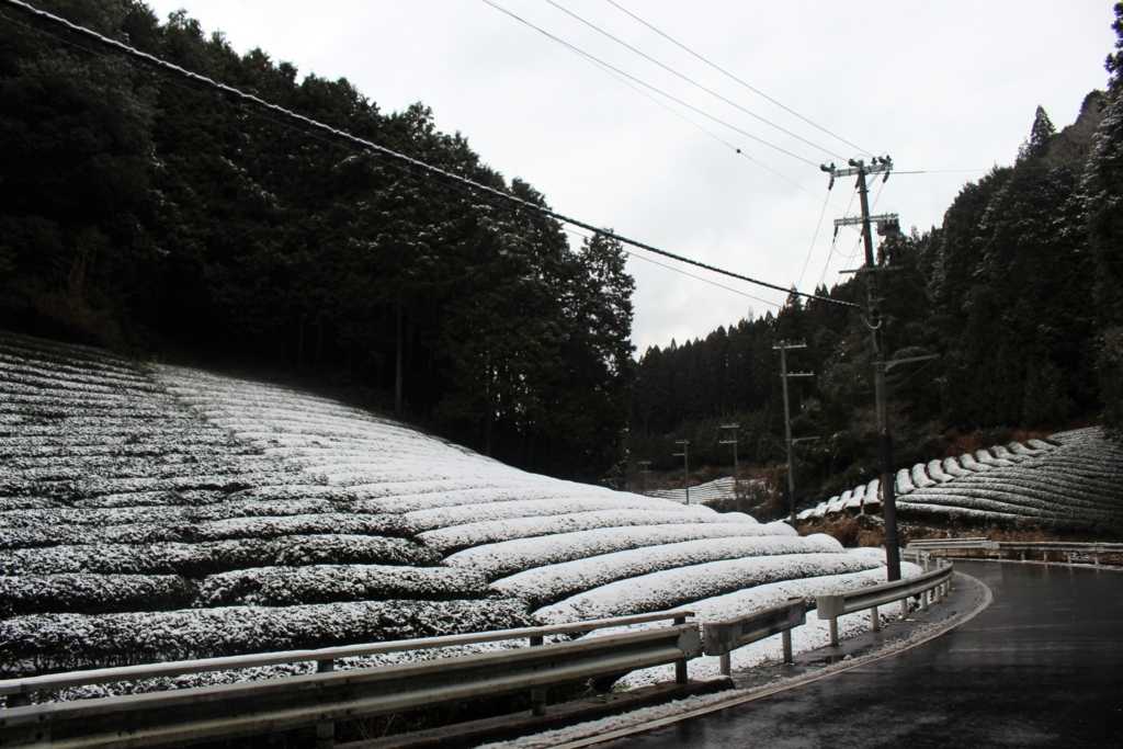 f:id:watanabecook:20171227161334j:plain f:id:watanabecook:20171227161334j:plain