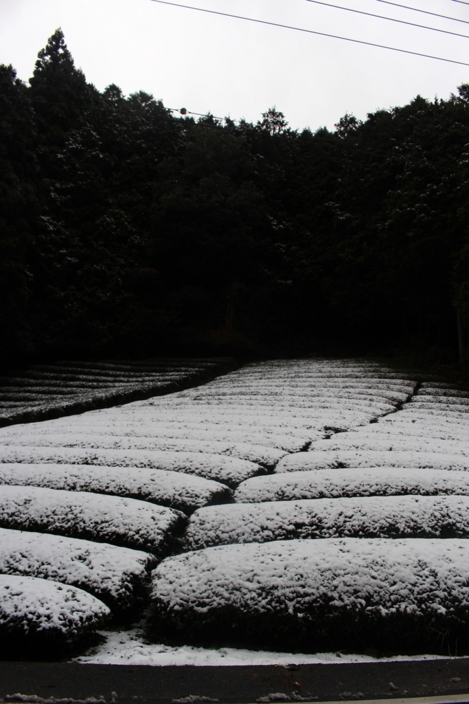 f:id:watanabecook:20171227161339j:plain f:id:watanabecook:20171227161339j:plain