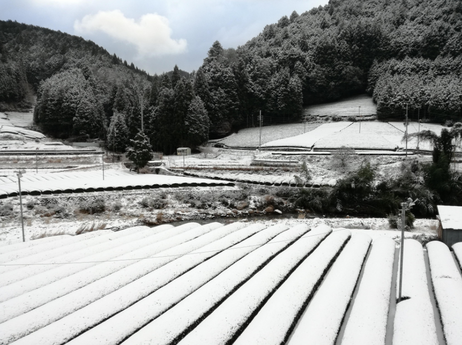 f:id:watanabecook:20171227162821p:plain f:id:watanabecook:20171227162821p:plain