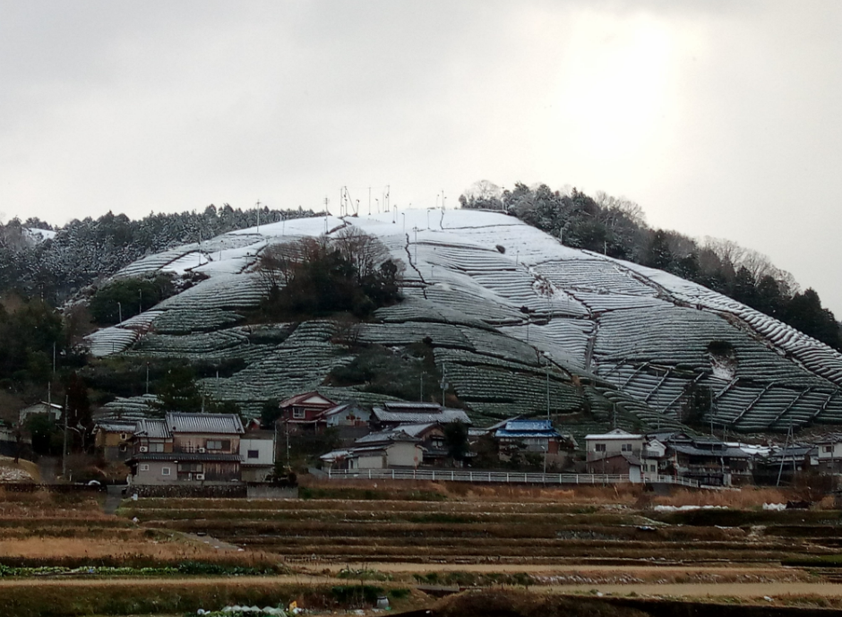 f:id:watanabecook:20171227164310p:plain f:id:watanabecook:20171227164310p:plain