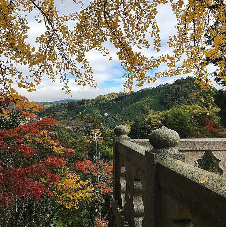 f:id:watanabecook:20181203122230p:plain