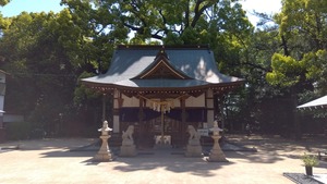 IMG_2023-05-12-09-36-35-077