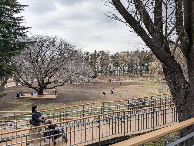 f:id:watanabemichitaka01:20240415225841j:image