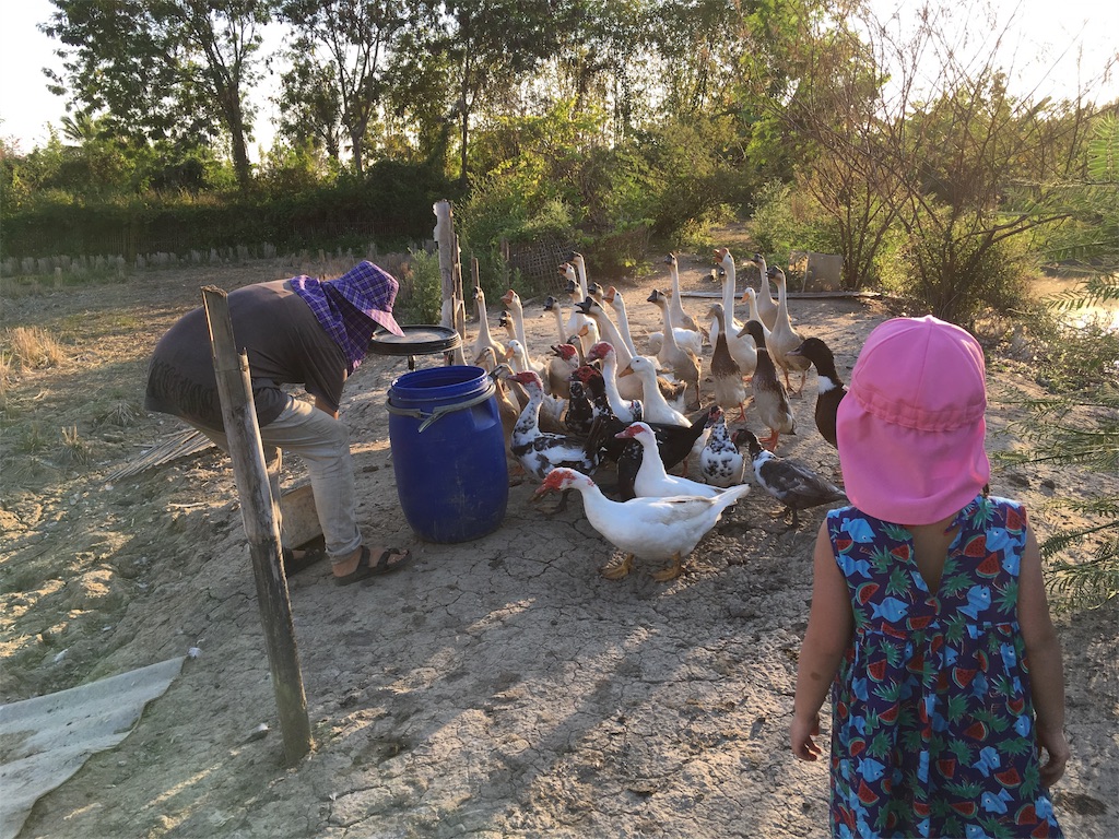 f:id:watanabetateguten:20190209090246j:image