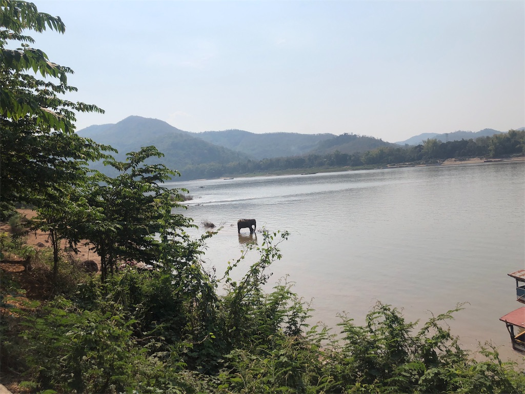 f:id:watankii58:20200113071036j:image f:id:watankii58:20200113071036j:image