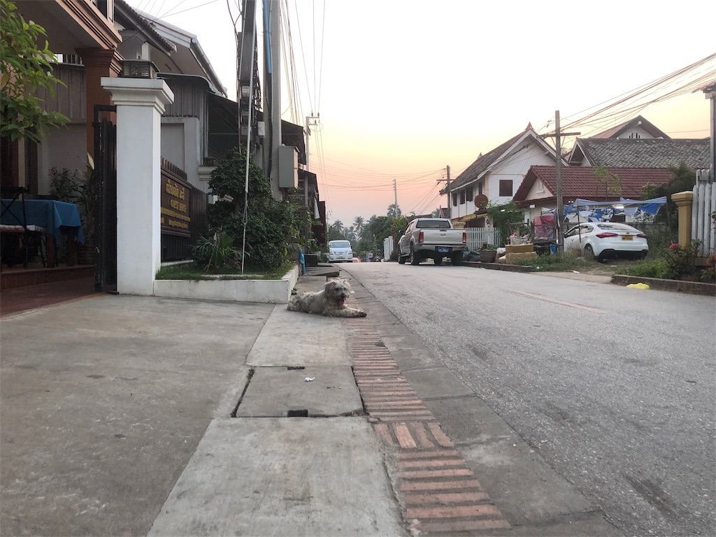 f:id:watankii58:20200113074551j:image f:id:watankii58:20200113074551j:image