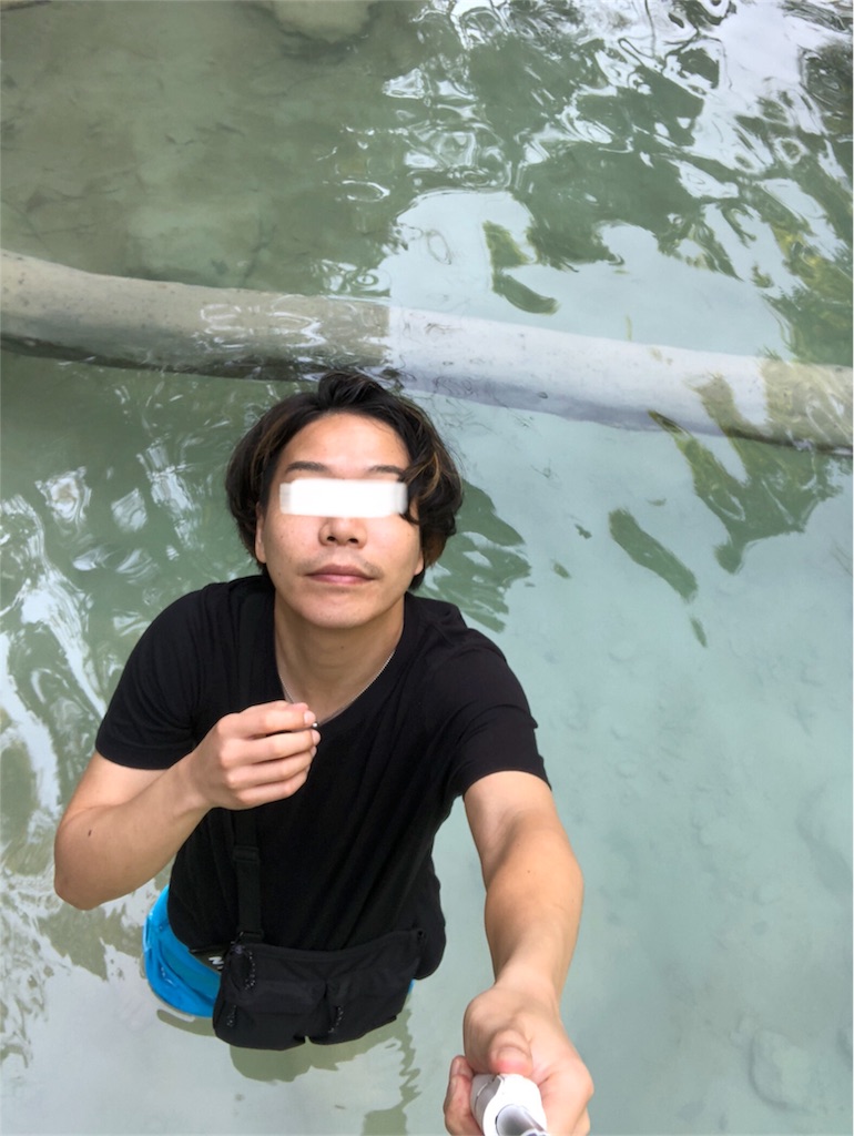 f:id:watankii58:20200118101044j:image f:id:watankii58:20200118101044j:image
