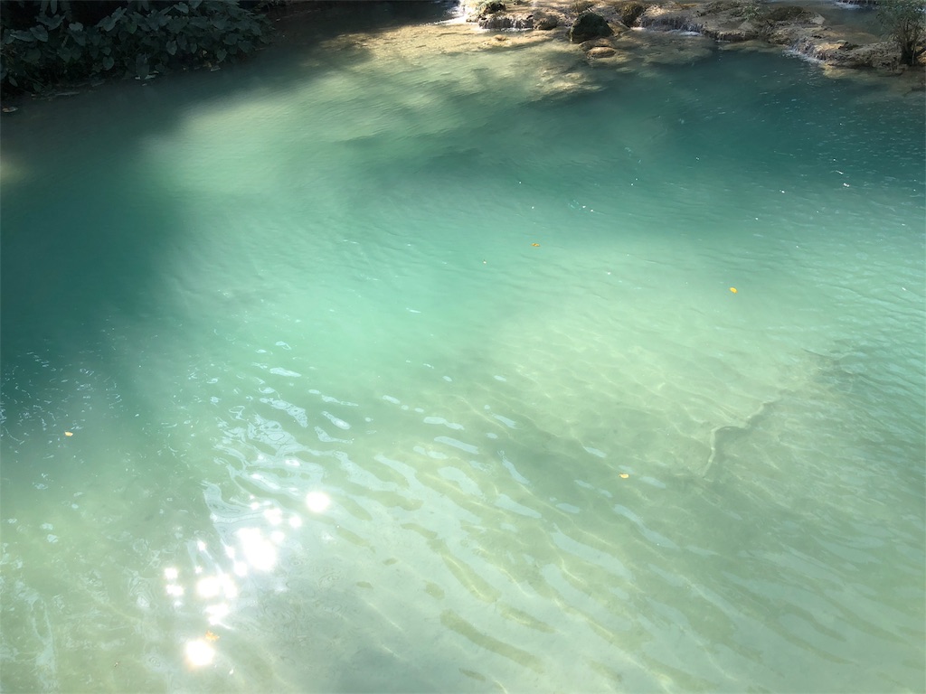 f:id:watankii58:20200118101153j:image f:id:watankii58:20200118101153j:image