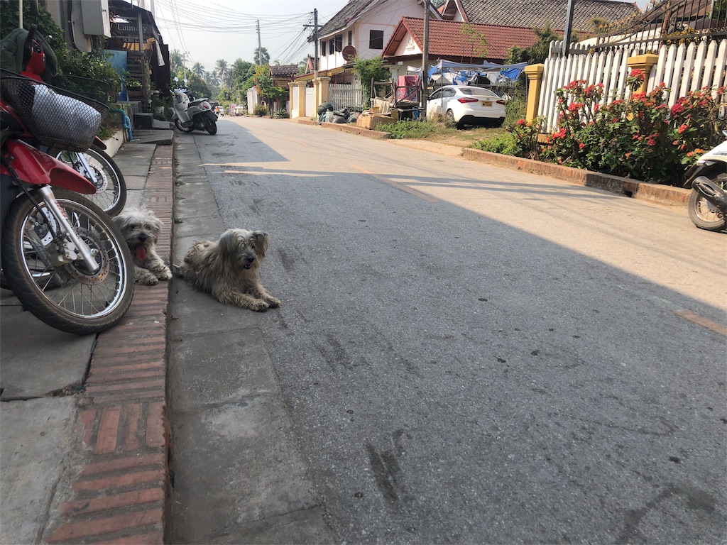 f:id:watankii58:20200126190829j:image f:id:watankii58:20200126190829j:image