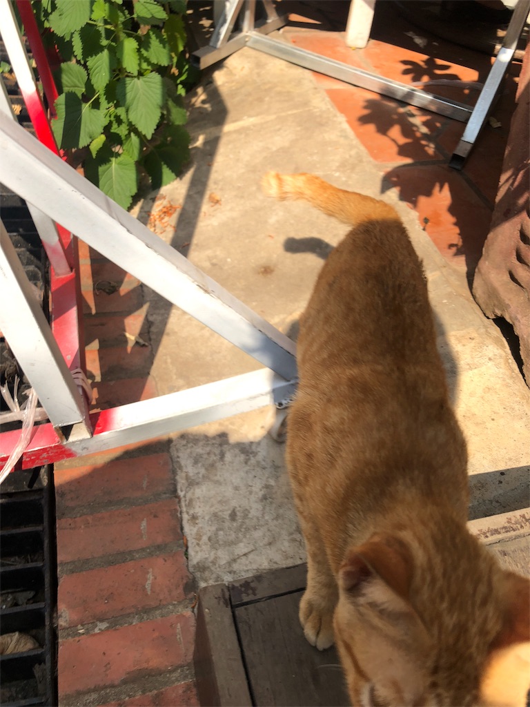 f:id:watankii58:20200126191033j:image f:id:watankii58:20200126191033j:image