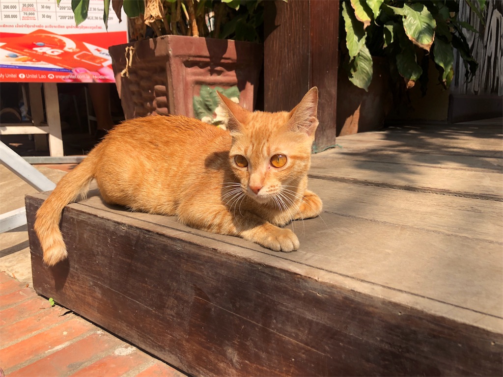 f:id:watankii58:20200126191117j:image f:id:watankii58:20200126191117j:image