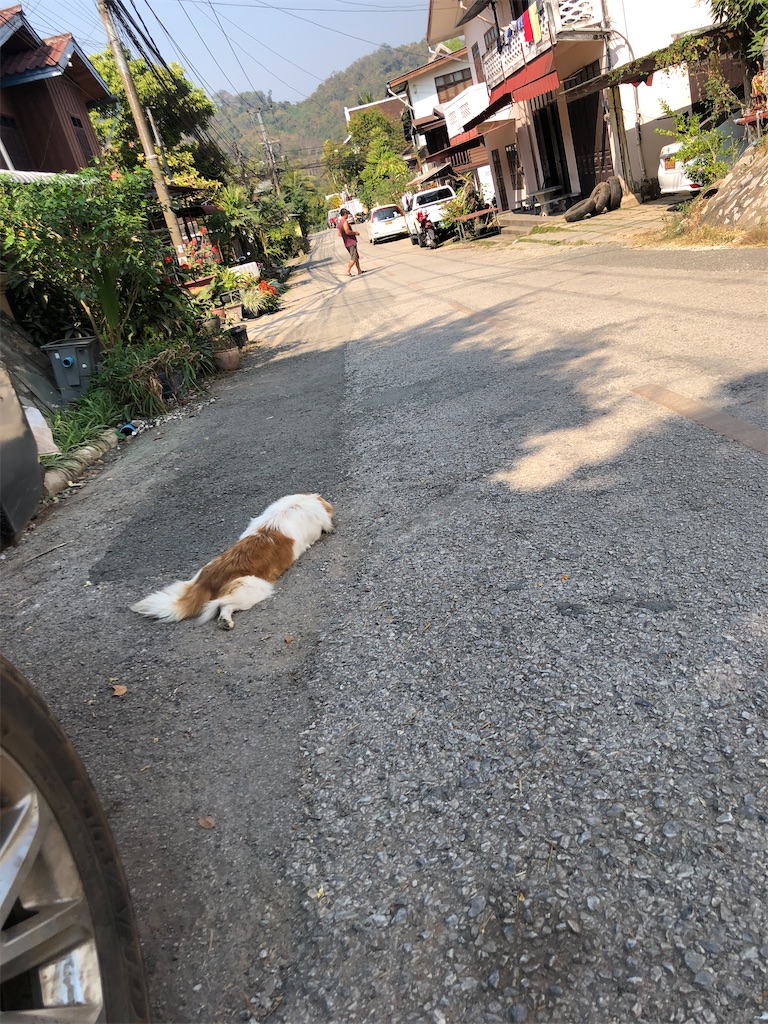 f:id:watankii58:20200202191100j:image f:id:watankii58:20200202191100j:image