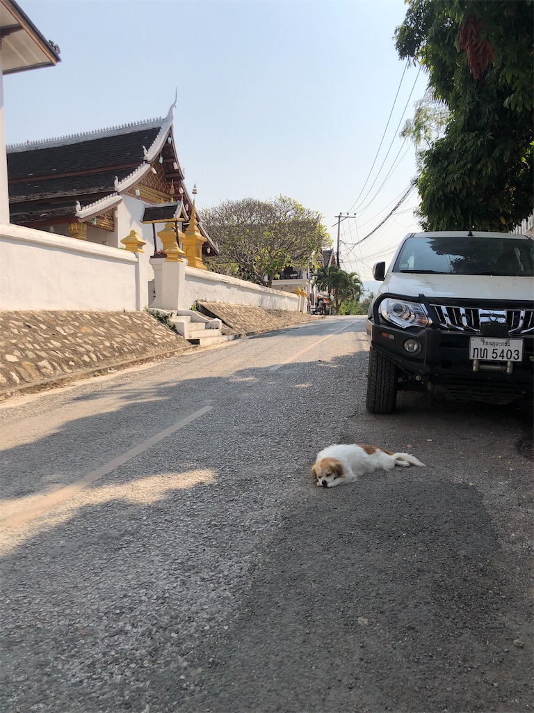 f:id:watankii58:20200202191121j:image f:id:watankii58:20200202191121j:image