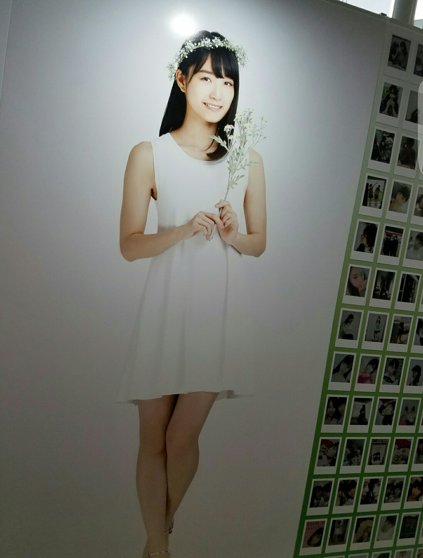 f:id:watariDeath:20170122013753j:image f:id:watariDeath:20170122013753j:image