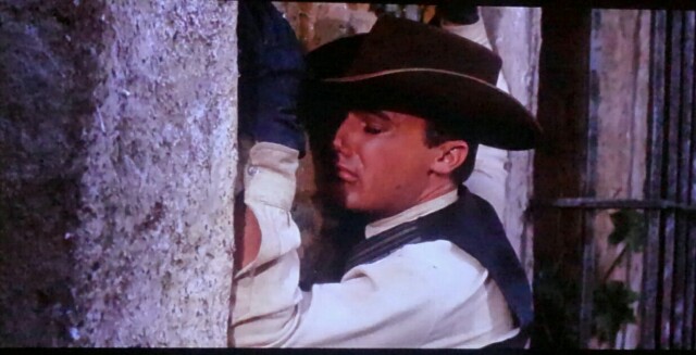 f:id:wataridori73:20190423224017j:plain