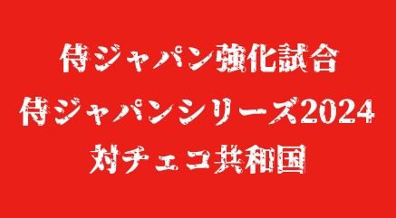 f:id:wataridori73:20240529231337j:image