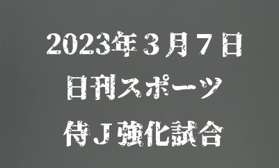 f:id:wataridori73:20240701000041j:image