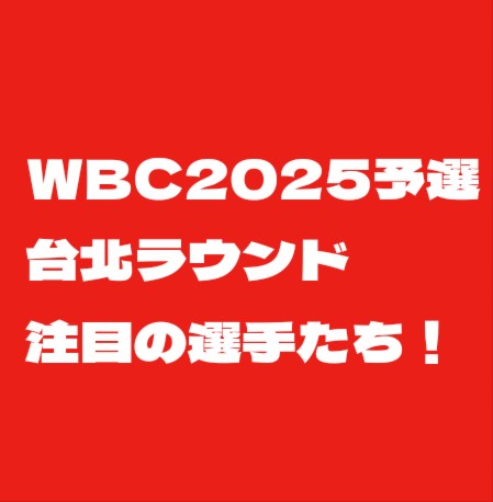 f:id:wataridori73:20250220221828j:image