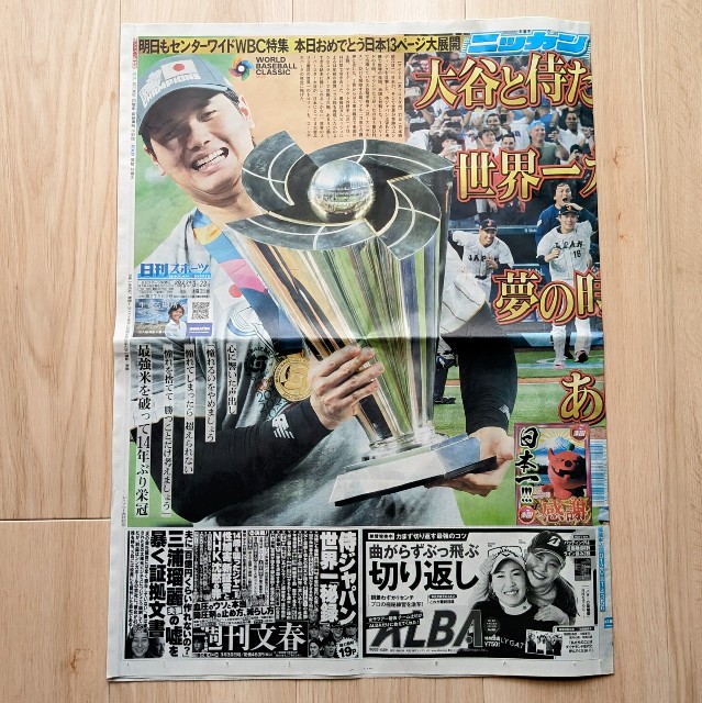 f:id:wataridori73:20250310184802j:image