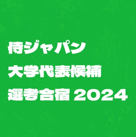 f:id:wataridori73:20250605213129j:image