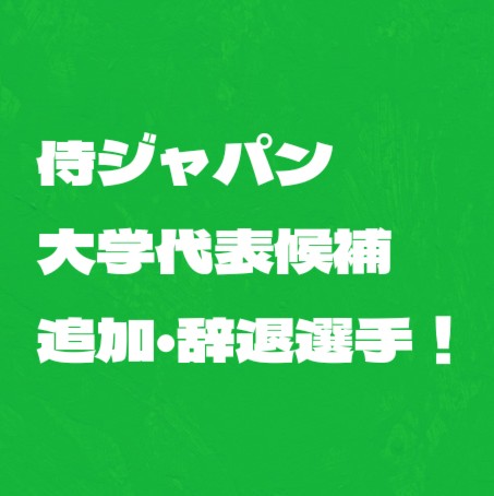 f:id:wataridori73:20250614202042j:image