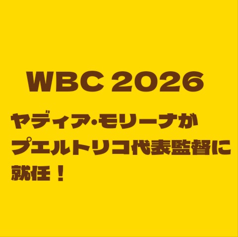 f:id:wataridori73:20250619221340j:image