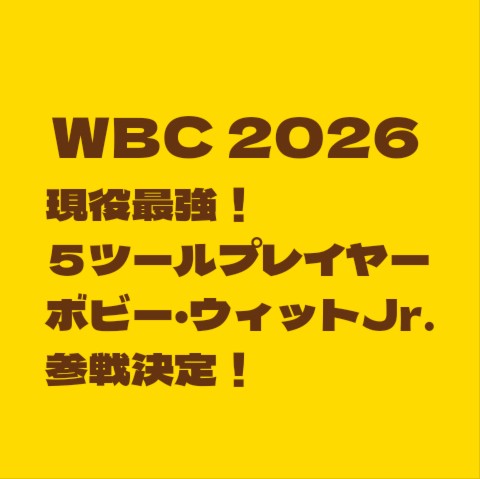 f:id:wataridori73:20250627033245j:image