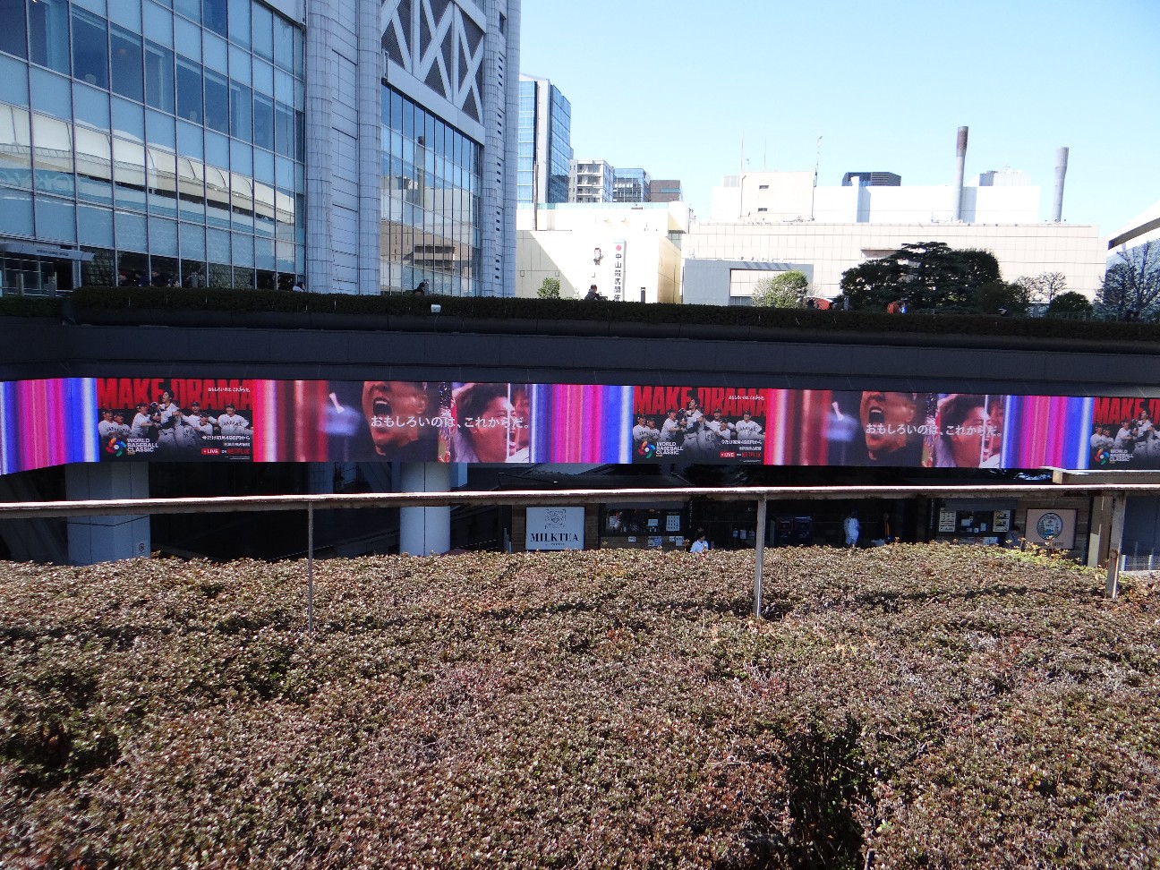 f:id:wataridori73:20260312003129j:image f:id:wataridori73:20260312003129j:image