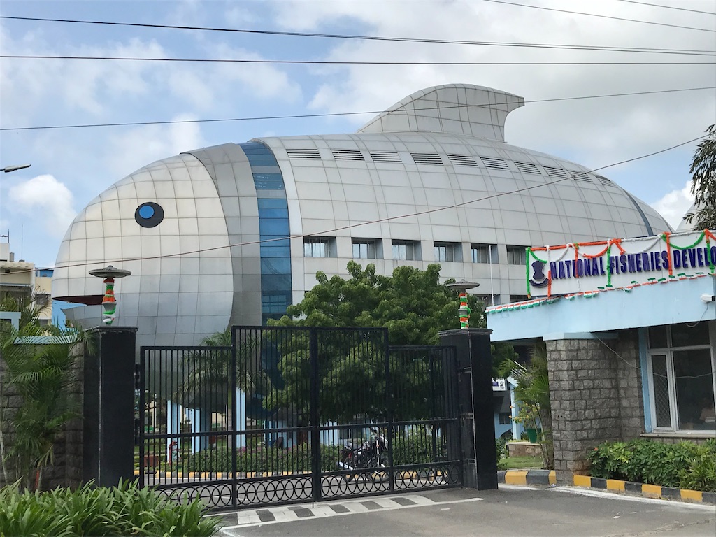 f:id:wataru_india:20190825175534j:image