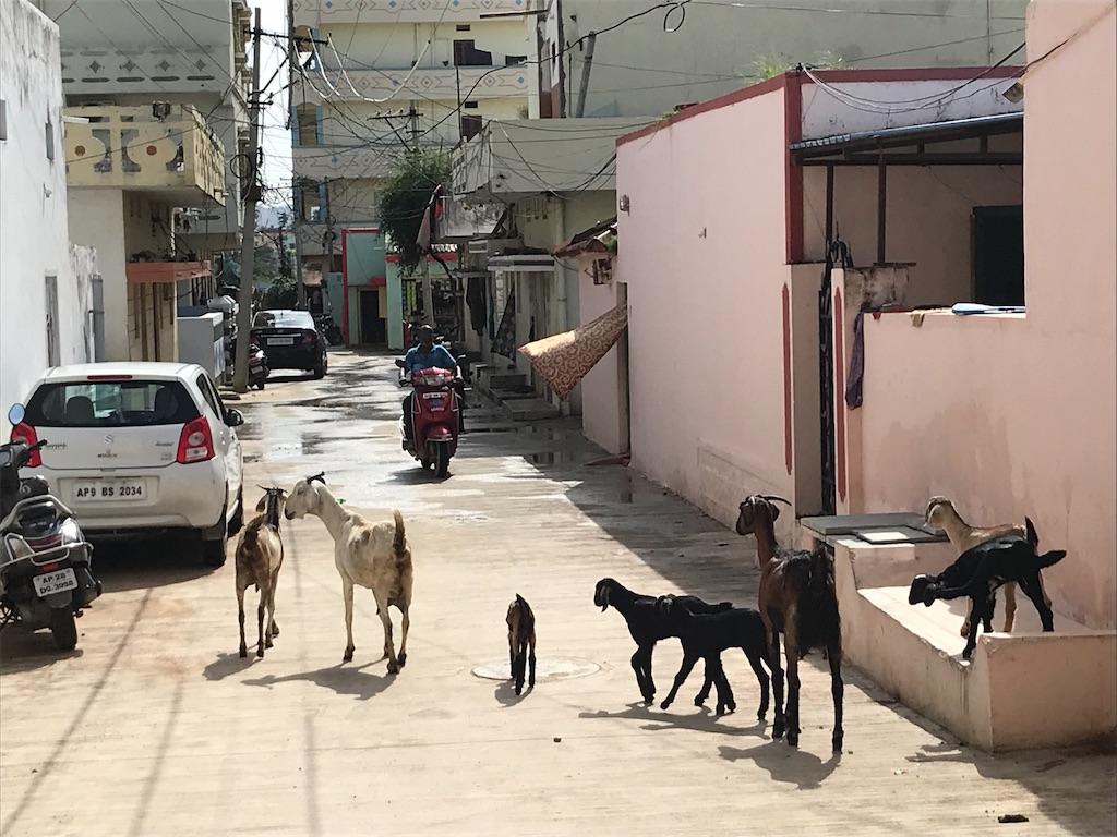 f:id:wataru_india:20190825180855j:image