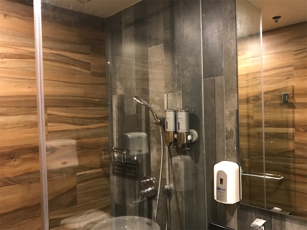 f:id:wataru_india:20190915193412j:image