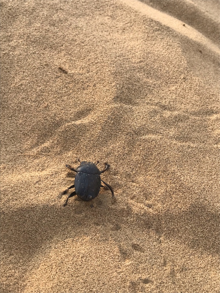 f:id:wataru_india:20191029114414j:image f:id:wataru_india:20191029114414j:image