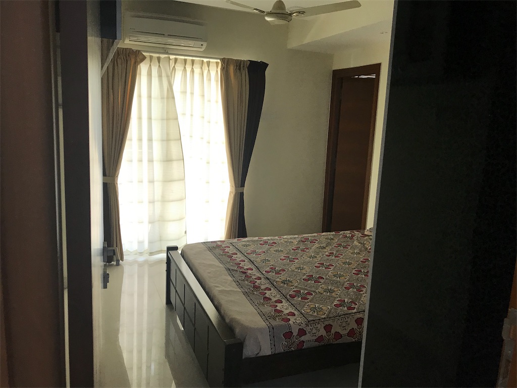 f:id:wataru_india:20200202085742j:image