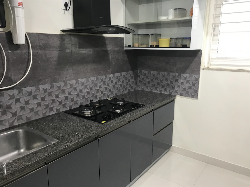 f:id:wataru_india:20200202085759j:image